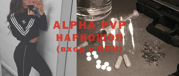 a pvp Белокуриха