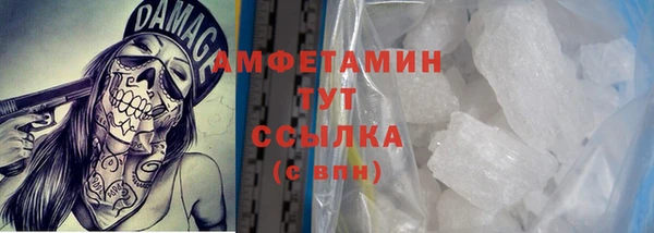 сатива Беломорск