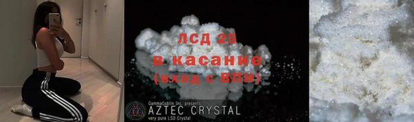 сатива Беломорск