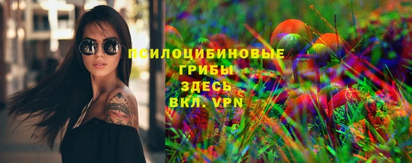 сатива Беломорск