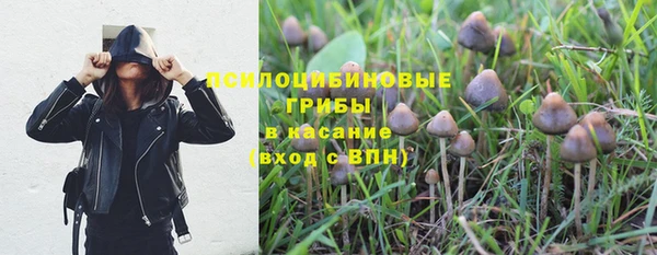 сатива Беломорск