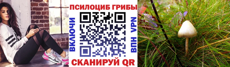 Псилоцибиновые грибы ЛСД  Краснослободск 